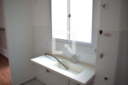 Cozinha de apartamento para alugar com 2 quartos, 42m² em Jardim Ouro Branco, Ribeirão Preto