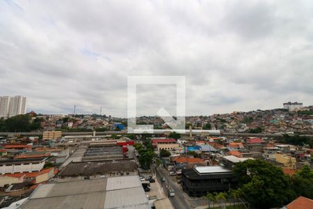 Apartamento para alugar com 2 quartos, 30m² em Vila Plana, São Paulo