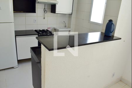 Cozinha de apartamento para alugar com 2 quartos, 43m² em Jardim Silvio Passalacqua, Ribeirão Preto