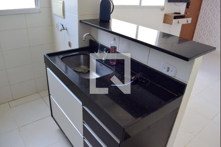 Cozinha - Armários de apartamento para alugar com 2 quartos, 43m² em Jardim Silvio Passalacqua, Ribeirão Preto