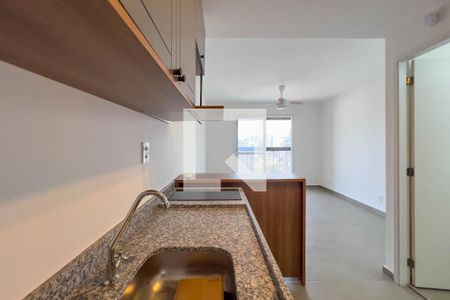 Cozinha de apartamento para alugar com 1 quarto, 30m² em Vila Mariana, São Paulo