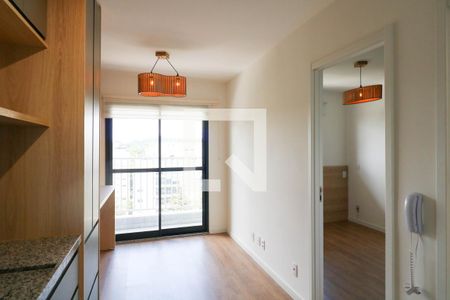 Studio de kitnet/studio para alugar com 1 quarto, 30m² em Santo Amaro, São Paulo