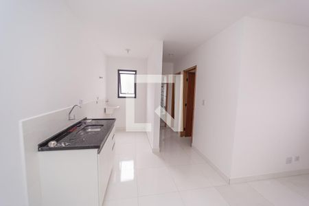 Cozinha e Área de Serviço de apartamento para alugar com 2 quartos, 48m² em Vila Sao Geraldo, São Paulo