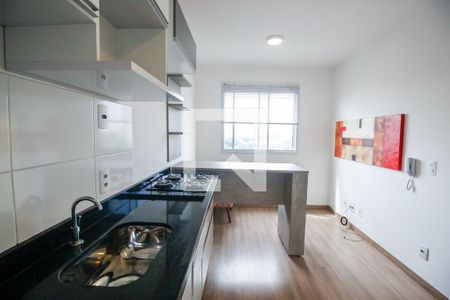 Sala / Cozinha / Área de Serviço de apartamento para alugar com 1 quarto, 25m² em Vila Nova das Belezas, São Paulo