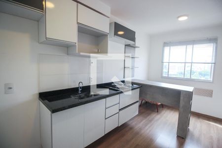 Sala / Cozinha / Área de Serviço de apartamento para alugar com 1 quarto, 25m² em Vila Nova das Belezas, São Paulo