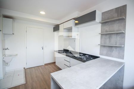 Sala / Cozinha / Área de Serviço de apartamento para alugar com 1 quarto, 25m² em Vila Nova das Belezas, São Paulo