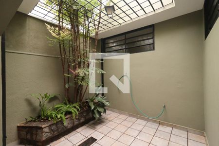 Jardim de inverno  de casa para alugar com 4 quartos, 250m² em Jardim Macedo, Ribeirão Preto