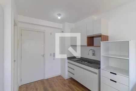 Cozinha de kitnet/studio para alugar com 1 quarto, 27m² em Quinta da Paineira, São Paulo