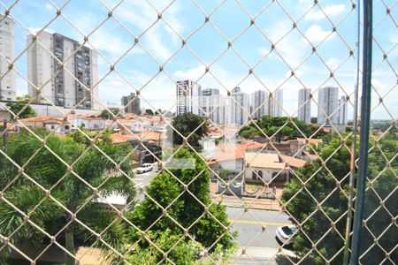 Sala - Vista de apartamento para alugar com 3 quartos, 77m² em Taquaral, Campinas