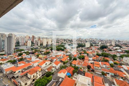 Varanda da Sala - Vista de apartamento para alugar com 3 quartos, 79m² em Vila Dom Pedro I, São Paulo