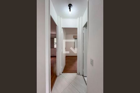 Corredor de apartamento à venda com 2 quartos, 50m² em Vila Vermelha, São Paulo