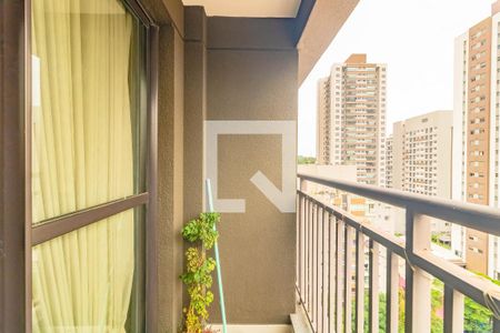 Kitnet/Studio para alugar com 1 quarto, 29m² em Vila Santa Catarina, São Paulo