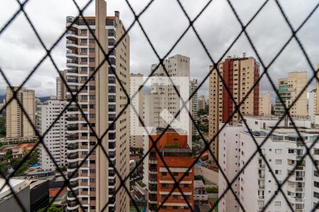 Varanda da Sala de Estar - Vista de apartamento para alugar com 3 quartos, 393m² em Santana, São Paulo