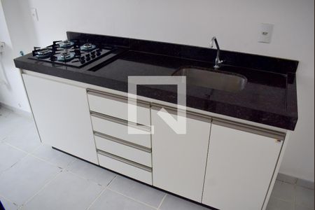 Cozinha - Armários de apartamento para alugar com 2 quartos, 55m² em Vila Maria Luiza, Ribeirão Preto