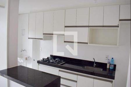 Cozinha - Armários de apartamento para alugar com 2 quartos, 55m² em Vila Maria Luiza, Ribeirão Preto