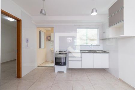 Cozinha de apartamento para alugar com 2 quartos, 43m² em Cidade Patriarca, São Paulo