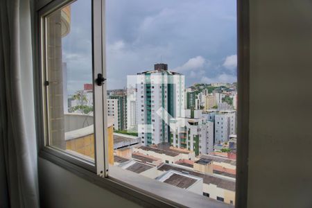 Sala - Janela de apartamento para alugar com 1 quarto, 50m² em Buritis, Belo Horizonte