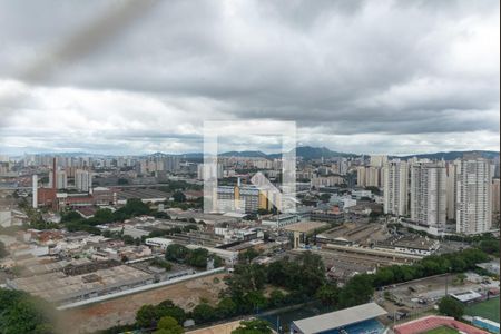 Vista de apartamento para alugar com 4 quartos, 241m² em Água Branca, São Paulo