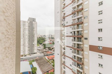 Sala / Varanda de apartamento para alugar com 1 quarto, 45m² em Vila Sônia, São Paulo