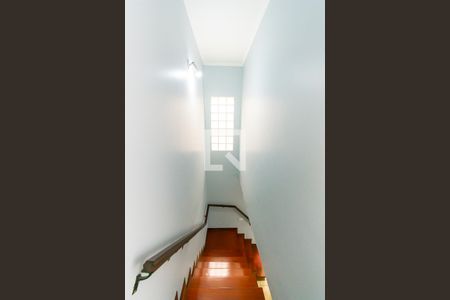 Escada de casa para alugar com 4 quartos, 300m² em Parque Sao Rafael, São Paulo