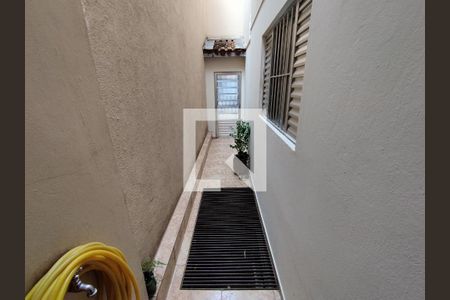 Quintal  de casa para alugar com 3 quartos, 160m² em Jardim Vergueiro, São Paulo