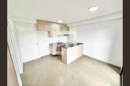 Sala/Cozinha/Quarto  de apartamento para alugar com 1 quarto, 30m² em Parada Inglesa, São Paulo
