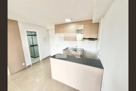 Sala/Cozinha/Quarto  de apartamento para alugar com 1 quarto, 30m² em Parada Inglesa, São Paulo
