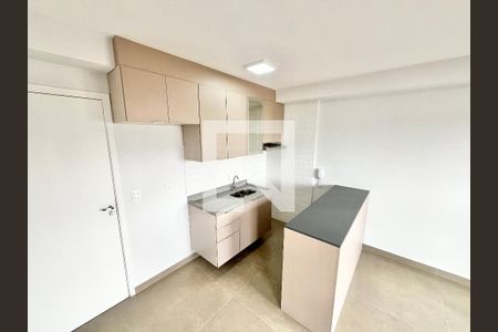Sala/Cozinha/Quarto  de apartamento para alugar com 1 quarto, 30m² em Parada Inglesa, São Paulo