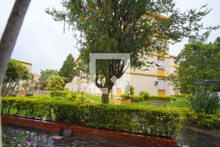 Sala_Vista  de apartamento à venda com 4 quartos, 77m² em Passo D’areia, Porto Alegre