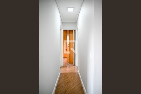 Corredor de apartamento para alugar com 2 quartos, 47m² em Jardim Santa Emilia, São Paulo