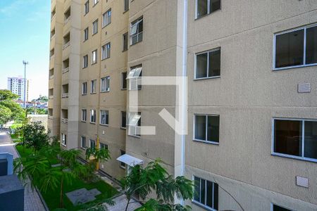 Apartamento para alugar com 2 quartos, 37m² em Jardim Amalia, São Paulo