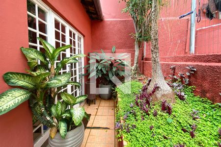 Jardim de casa à venda com 3 quartos, 360m² em Fernão Dias, Belo Horizonte
