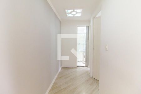 Corredor de apartamento para alugar com 2 quartos, 49m² em Jardim Casa Pintada, São Paulo