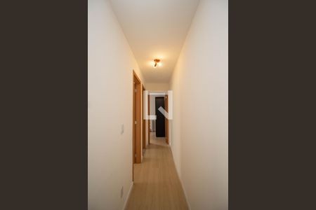 Corredor de apartamento para alugar com 2 quartos, 45m² em Jardim Iris, São Paulo