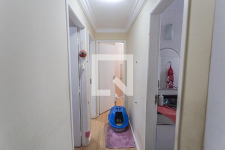 Corredor de apartamento à venda com 4 quartos, 69m² em Silveira, Belo Horizonte