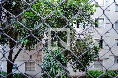 Vista do Quarto 1 de apartamento para alugar com 2 quartos, 46m² em Jardim Presidente Dutra, Guarulhos