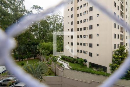 Vista Sala de apartamento para alugar com 2 quartos, 117m² em Paraíso do Morumbi, São Paulo