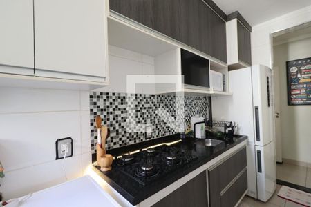 Cozinha de apartamento para alugar com 2 quartos, 49m² em Reserva Sul Condomínio Resort, Ribeirão Preto