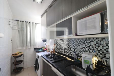 Cozinha de apartamento para alugar com 2 quartos, 49m² em Reserva Sul Condomínio Resort, Ribeirão Preto