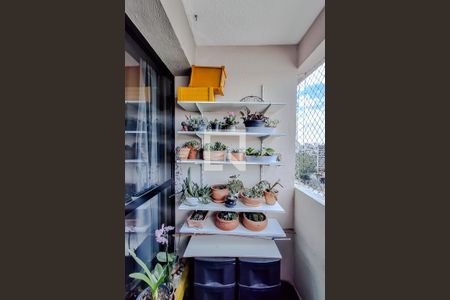 Varanda da Sala de apartamento à venda com 3 quartos, 71m² em Ipiranga, São Paulo