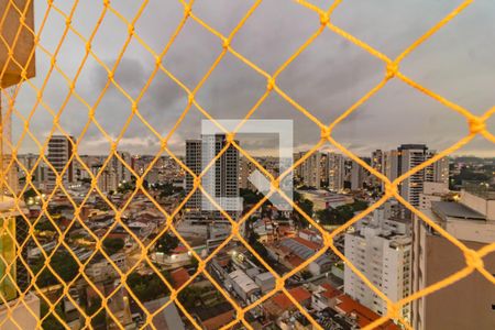 Apartamento para alugar com 2 quartos, 68m² em Vila Mascote, São Paulo