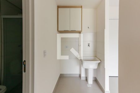 Lavanderia de apartamento para alugar com 2 quartos, 30m² em Quitaúna, Osasco