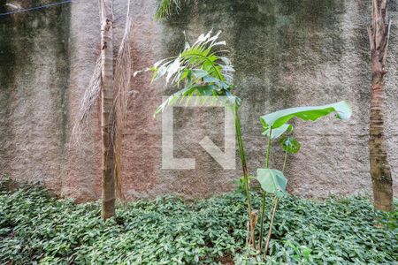 Vista da Sala de apartamento para alugar com 3 quartos, 57m² em Parque Munhoz, São Paulo