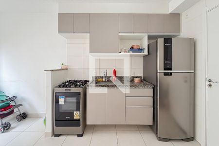 Cozinha de apartamento para alugar com 2 quartos, 32m² em Cambuci, São Paulo
