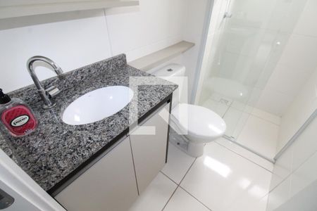 Banheiro de apartamento para alugar com 2 quartos, 52m² em Colinas do Paratehy, São José dos Campos