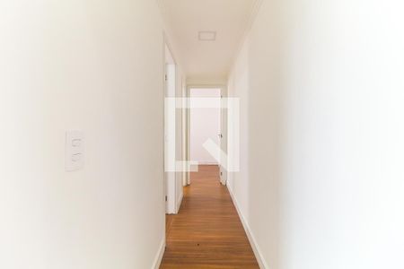 Corredor de apartamento para alugar com 2 quartos, 47m² em Vila Carmosina, São Paulo