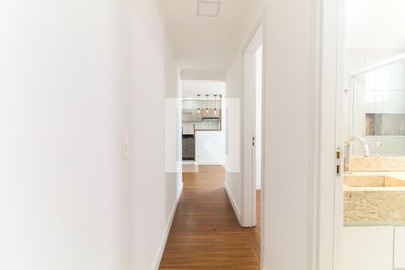 Corredor de apartamento para alugar com 2 quartos, 47m² em Vila Carmosina, São Paulo