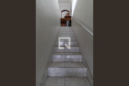 Escada  de casa para alugar com 6 quartos, 250m² em Vila Carmosina, São Paulo