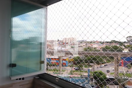 Apartamento à venda com 3 quartos, 63m² em Vila Divina Pastora, São Paulo