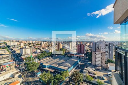 Apartamento à venda com 2 quartos, 67m² em Vila Mascote, São Paulo